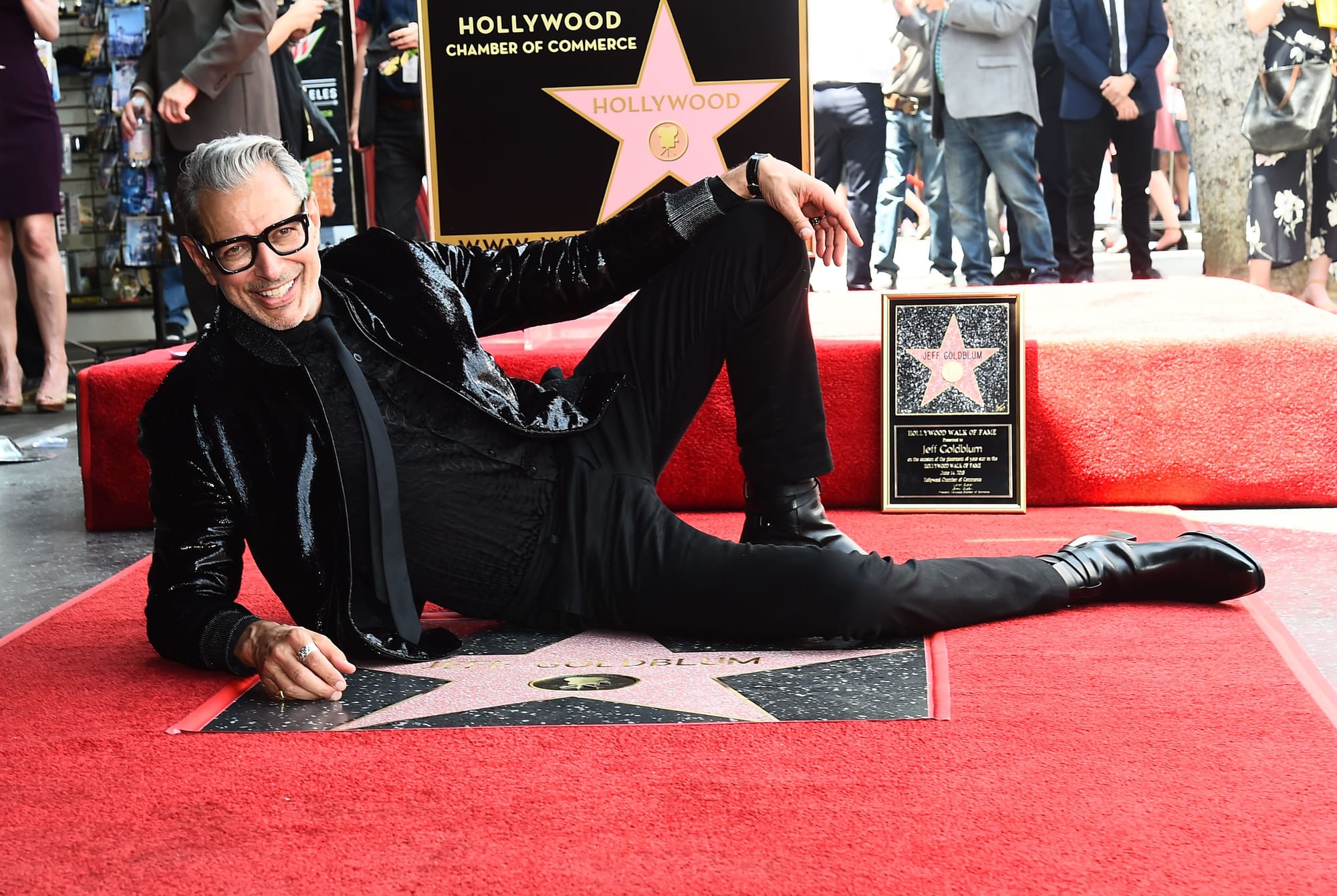 Here Is a Photo of Jeff Goldblum Reclining