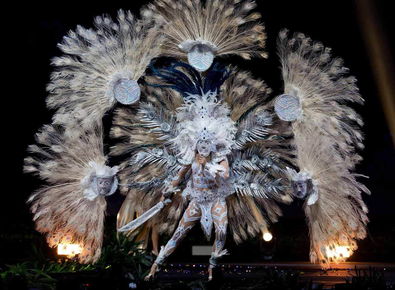 Miss Universe National Costumes Part 1