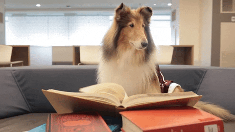Your Afternoon Chat: What Are You Reading?