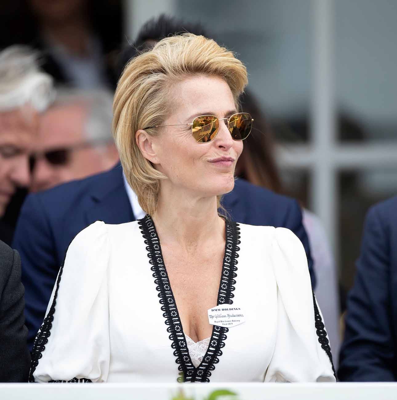 Gillian Anderson Is Giving Me Diana Vibes Here