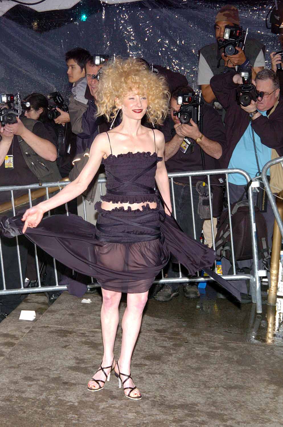 Anne Heche Both Won and Lost the 2004 Met Gala
