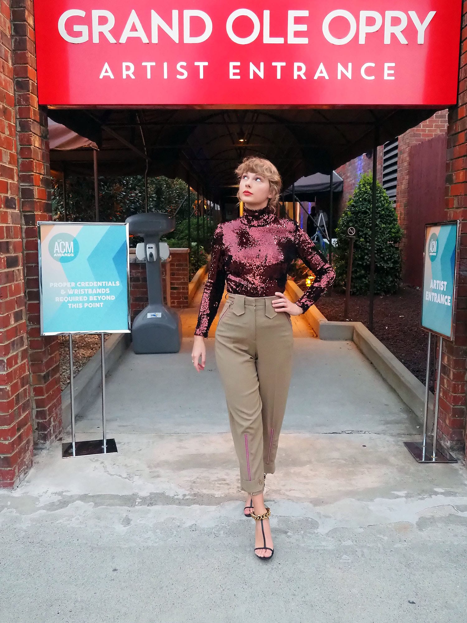 Taylor's Trousers for the Academy of Country Music Awards Were Sort of Perplexing...