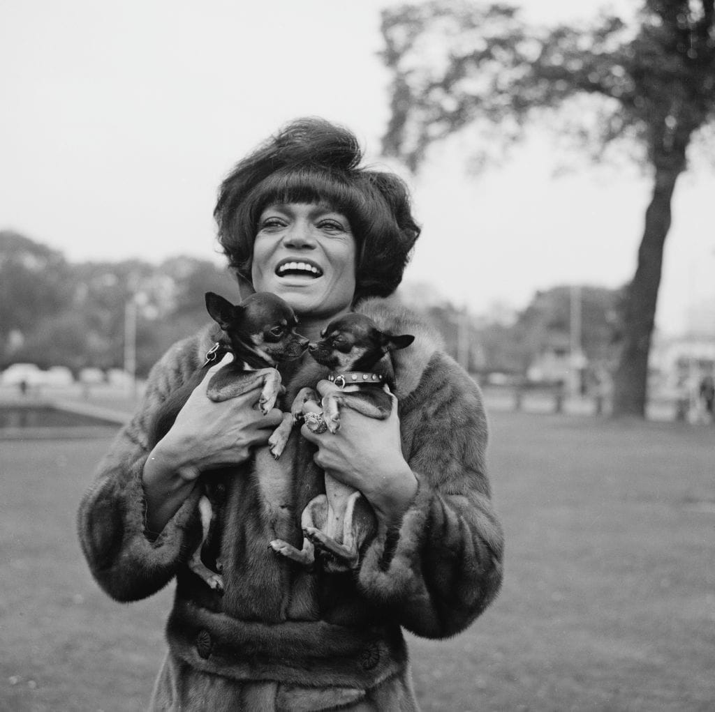 On This Day in 1972, Eartha Kitt Snuggled Two Chihuahuas