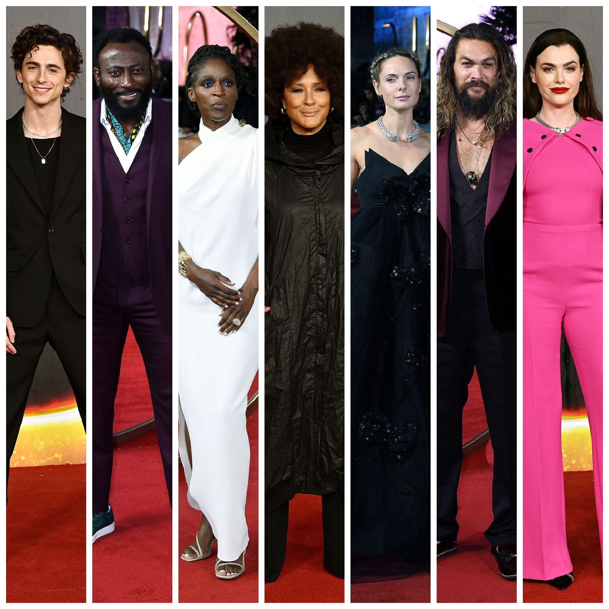 The Rest of the Dune Premiere Was ALSO Noteworthy