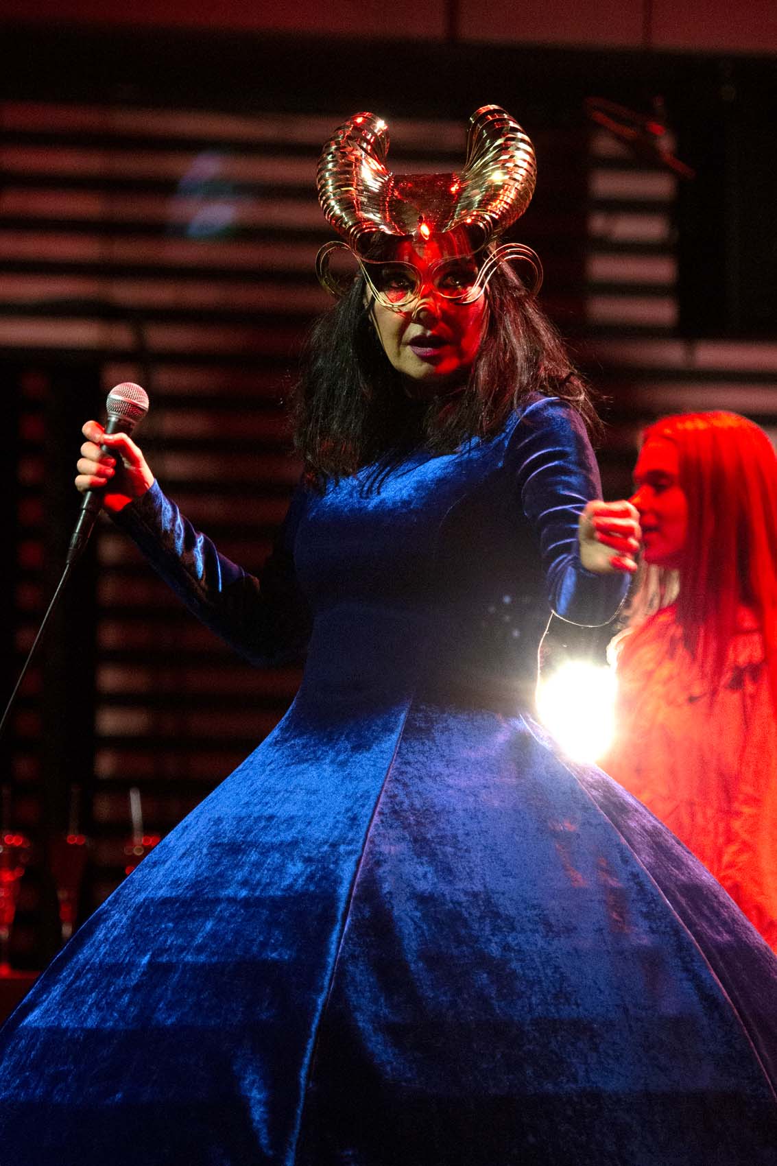 Your Afternoon Whimsy: Bjork