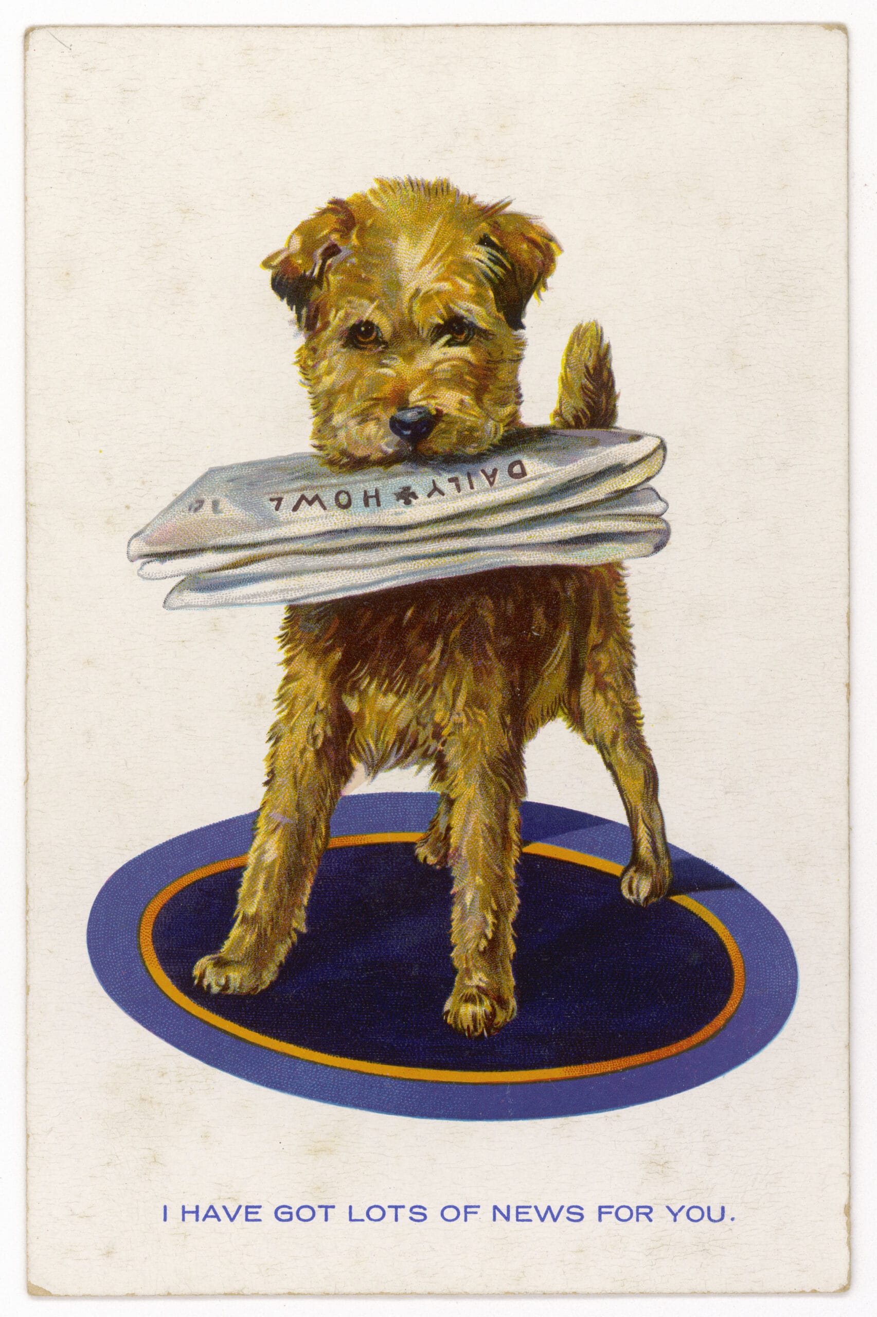 Your Afternoon Chat: What's Your Favorite Newsletter?