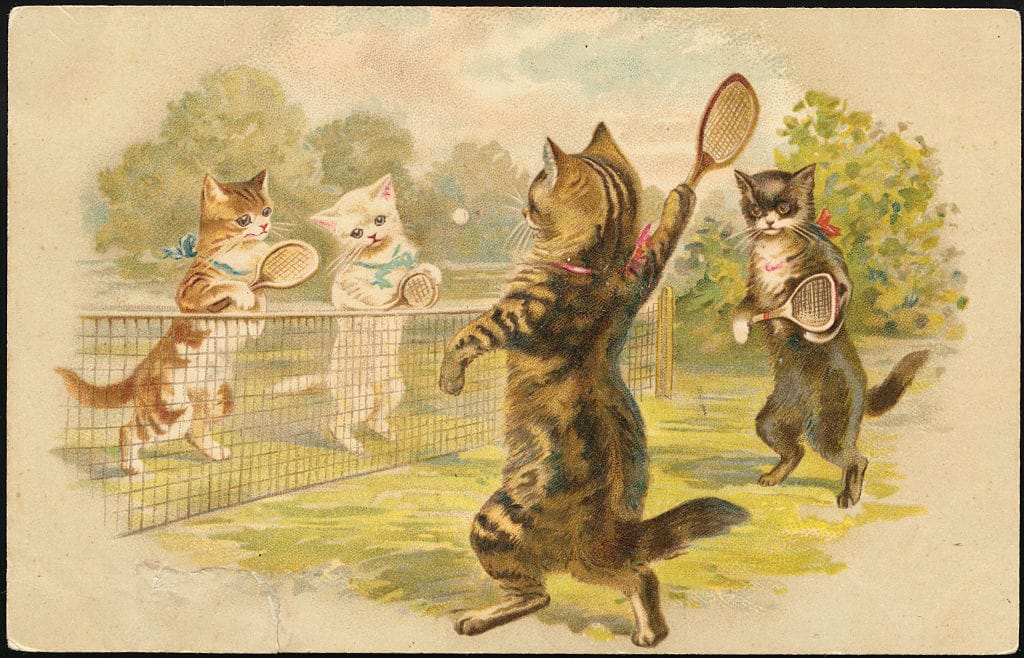 Your Afternoon Chat: What Is The Funniest Thing Your Pet Has Ever Done?