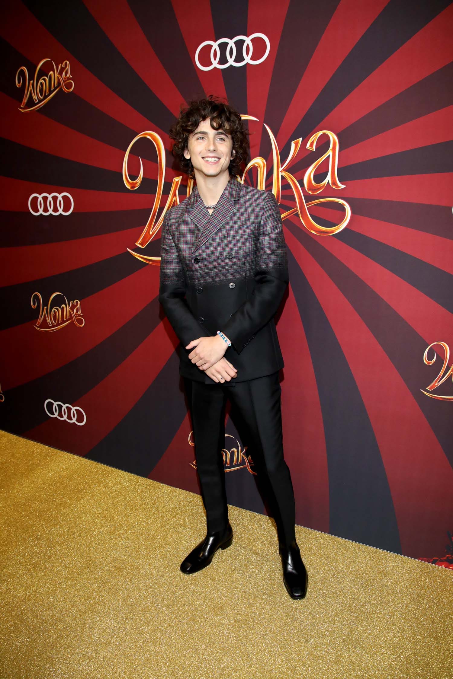 Timo Thee Chalamet Fades to Black