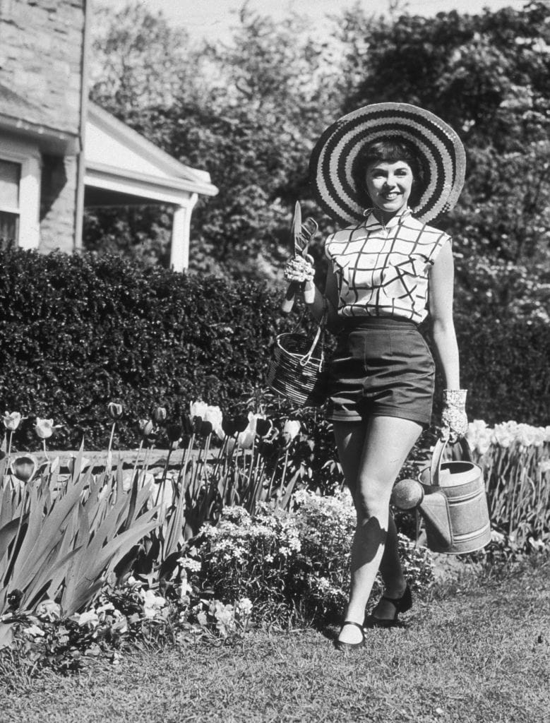 Your Afternoon Chat: Need a Gardening Tip, Get a Gardening Tip!