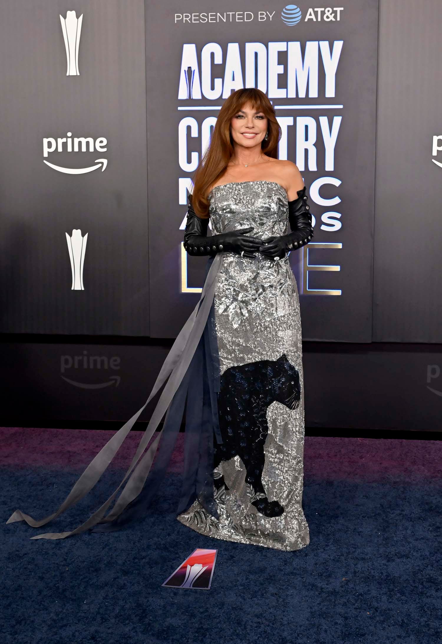 Shania Twain Hosted the Academy of Country Music Awards This Year