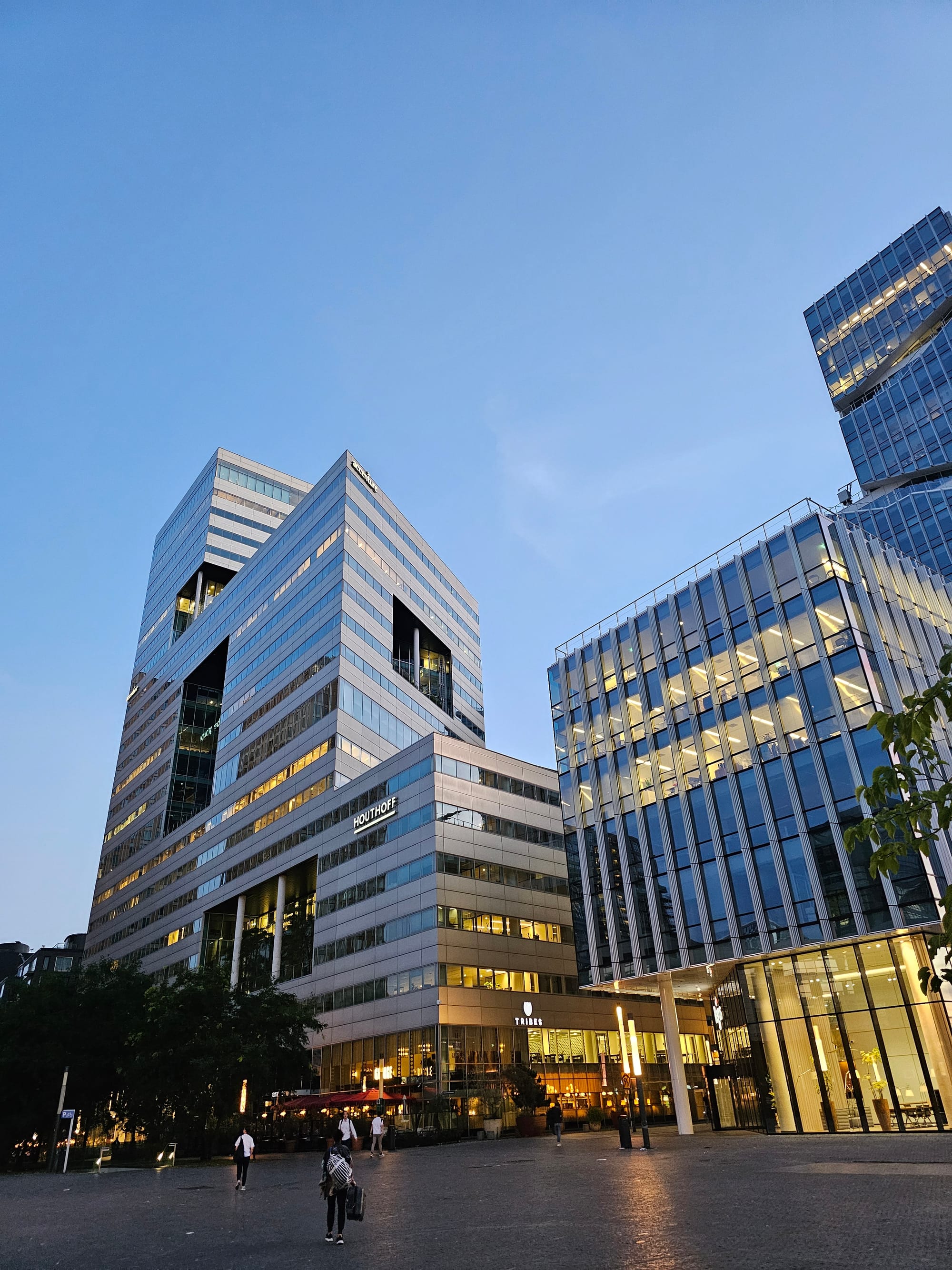 Curiosidad cotidiana