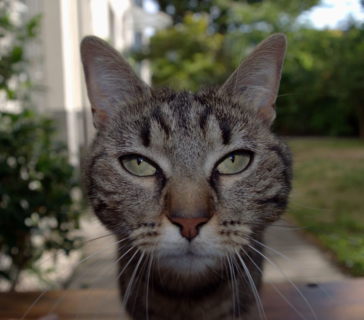 2025 - France - Nature