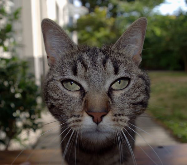 2025 - France - Nature