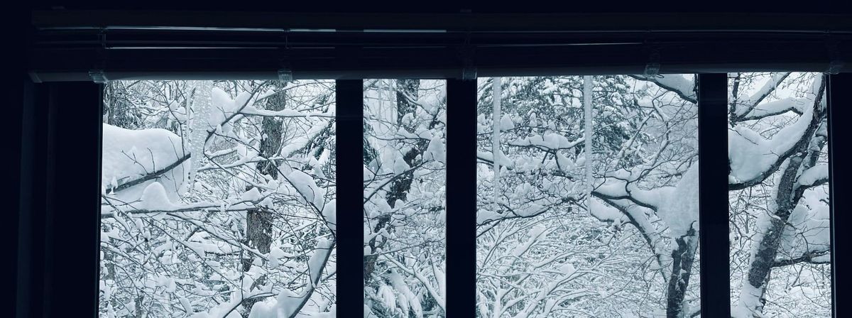 새로운 삶, 프랑스.