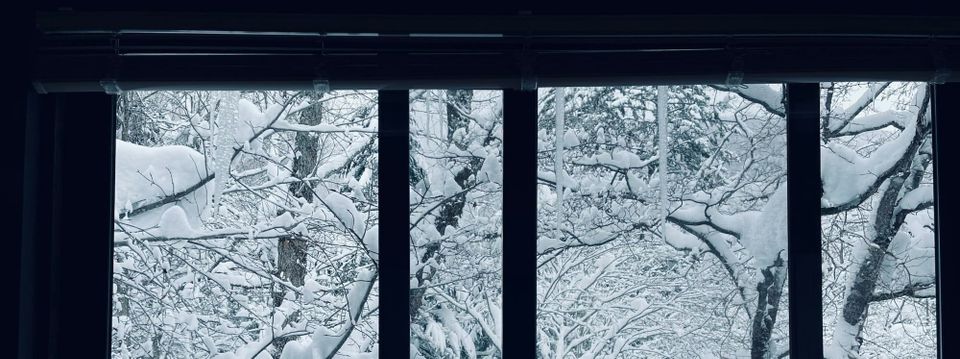 새로운 삶, 프랑스.