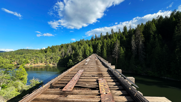 Big Fish (Not That One)