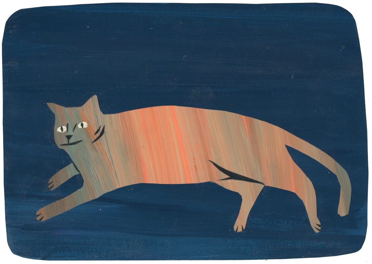 a cat a day keeps the angst away