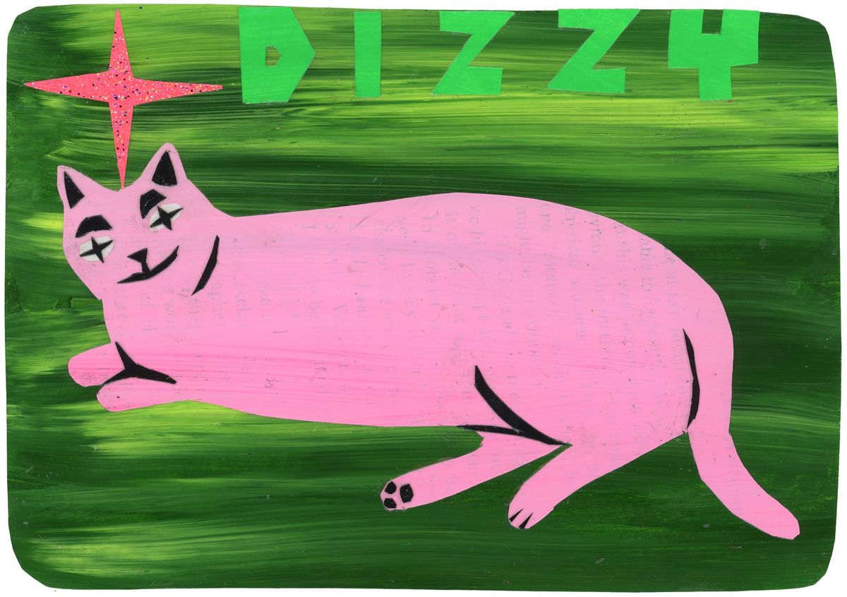 A pink cat laying down. The background is streaky green and yellow. At the top it says “dizzy” in neon green. There is a pink star above the cats head.  