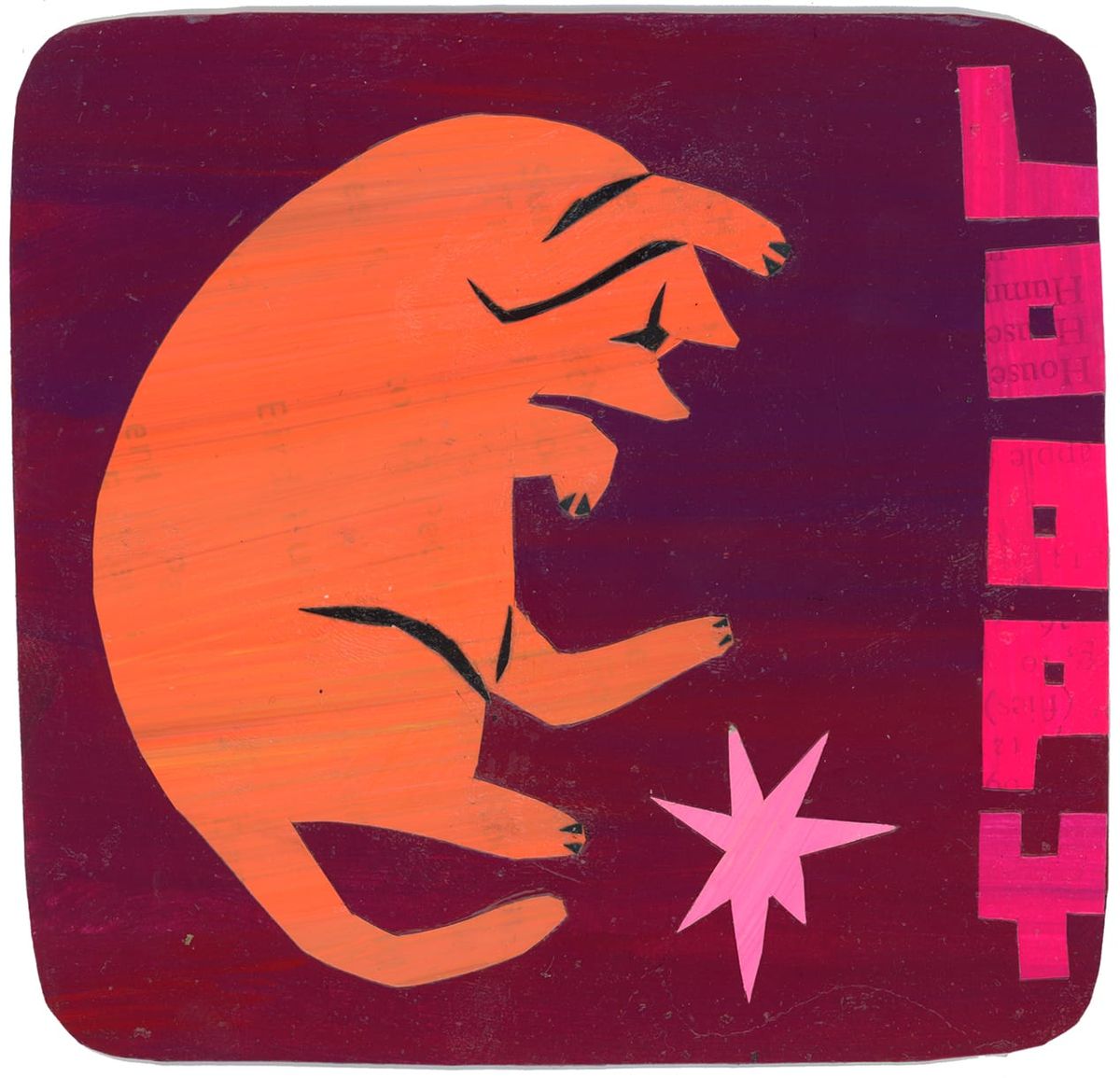 orange cat laying down on a marroon background with pink star. It says "loop" on the right side.