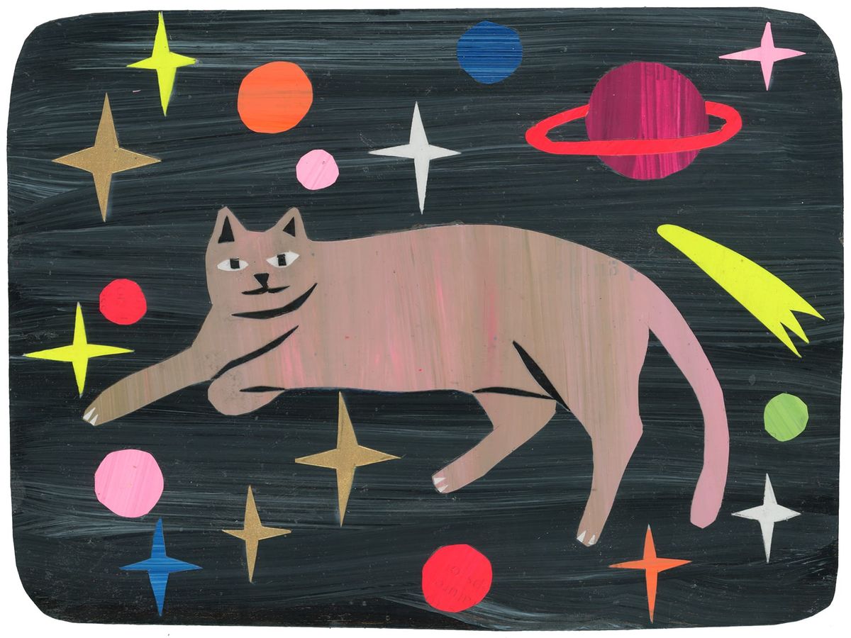A pink cat laying down with comets and stars surrounding her. Dark gray background. 