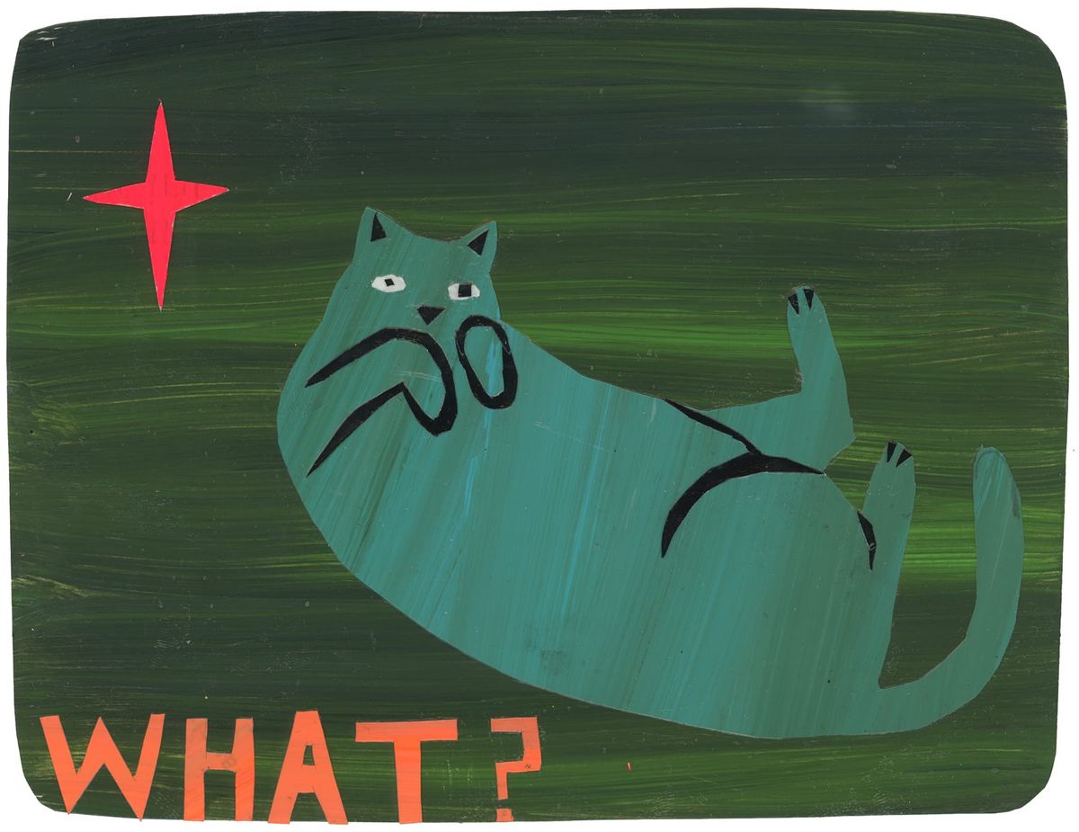 A sea green cat laying on his back with feet in the air on a forest green background. There is a red star next to his head and at the bottom it say "what?"