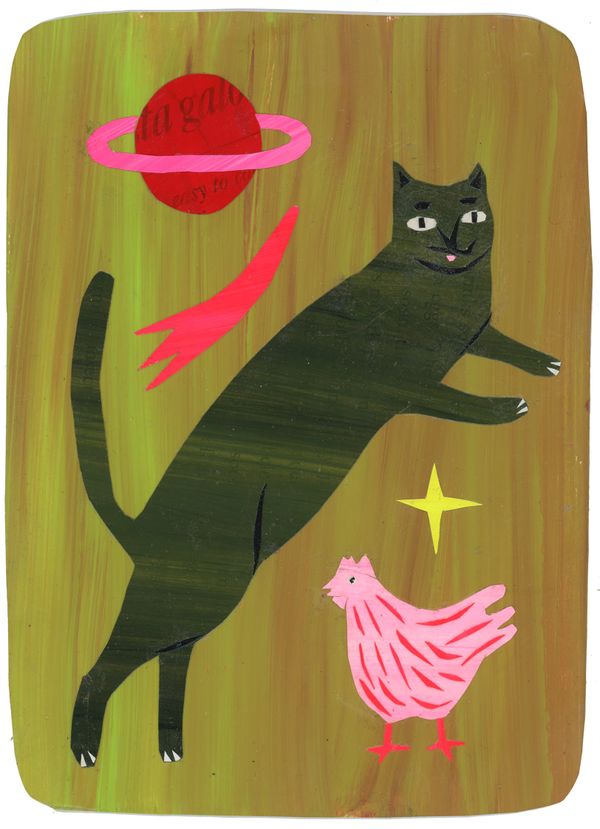 A dark green cat standing on his hind legs, leaping over a pink chicken with stars and planet in the sky.