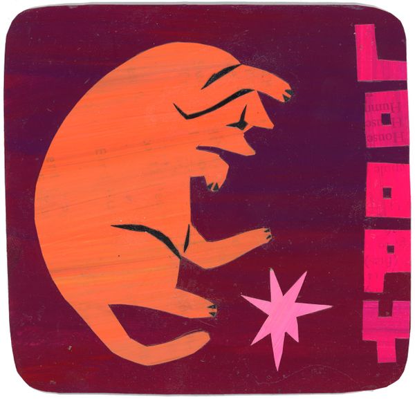 orange cat laying down on a marroon background with pink star. It says "loop" on the right side.