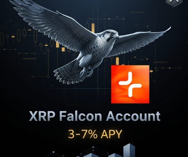 MoreMarkets Launches XRP Falcon Account: Institutional-Grade Yield