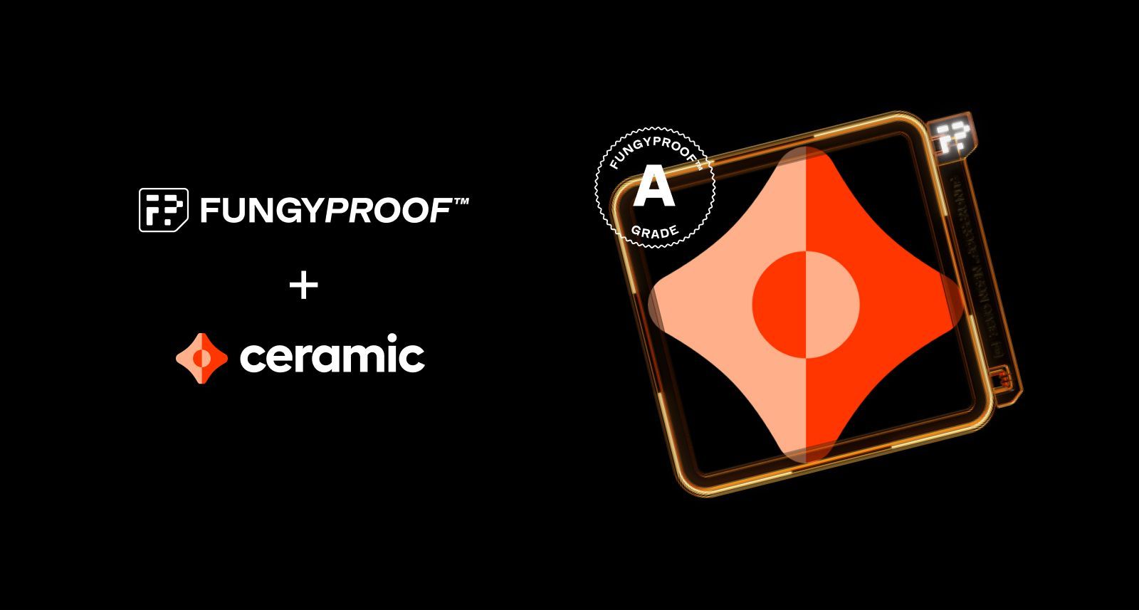 FungyProof: Bringing transparency & credibility to NFTs