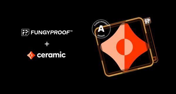 FungyProof: Bringing transparency & credibility to NFTs