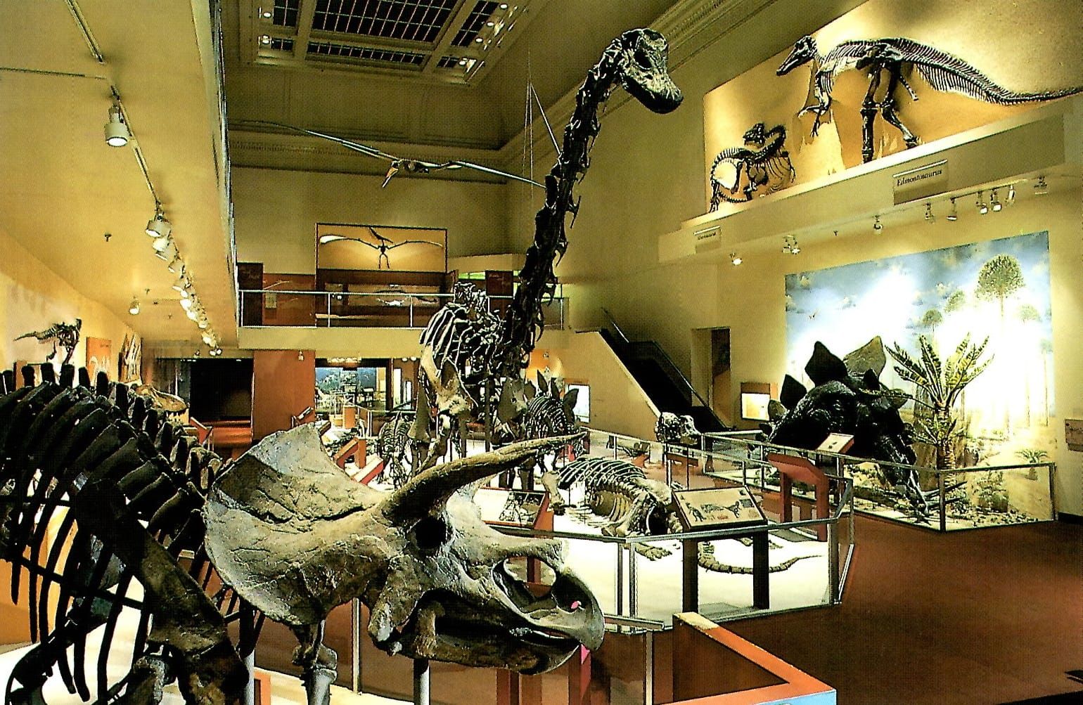 Friday Poem: "Dinosaur Hall"