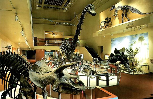 Friday Poem: "Dinosaur Hall"