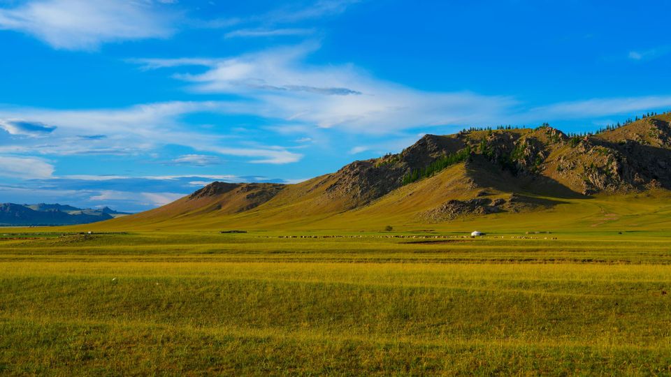 The Digital Backbone of Grassland Restoration