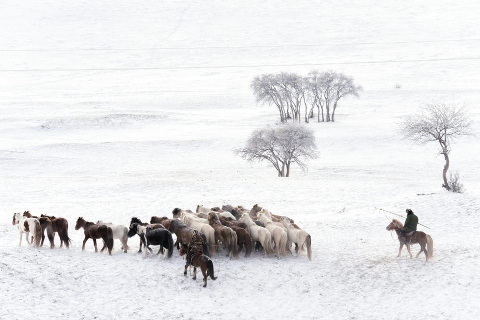 Mongolian Herders: Nature’s Stewards on the Frontline of Climate Change