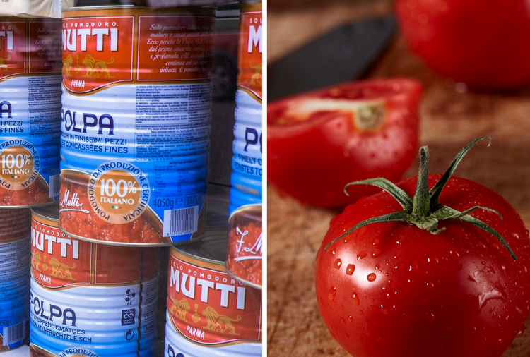 Zwei Fotos, links Dosentomaten, rechts frische Tomaten