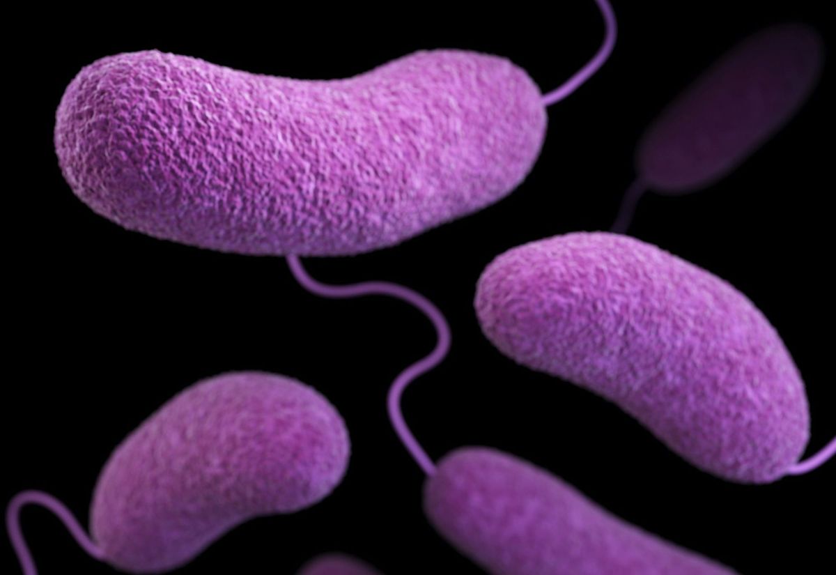 橙县卫生局发布警告：Westminster出现七例军团病病例