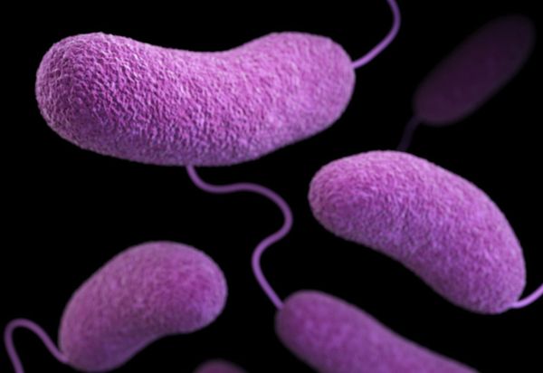 橙县卫生局发布警告：Westminster出现七例军团病病例