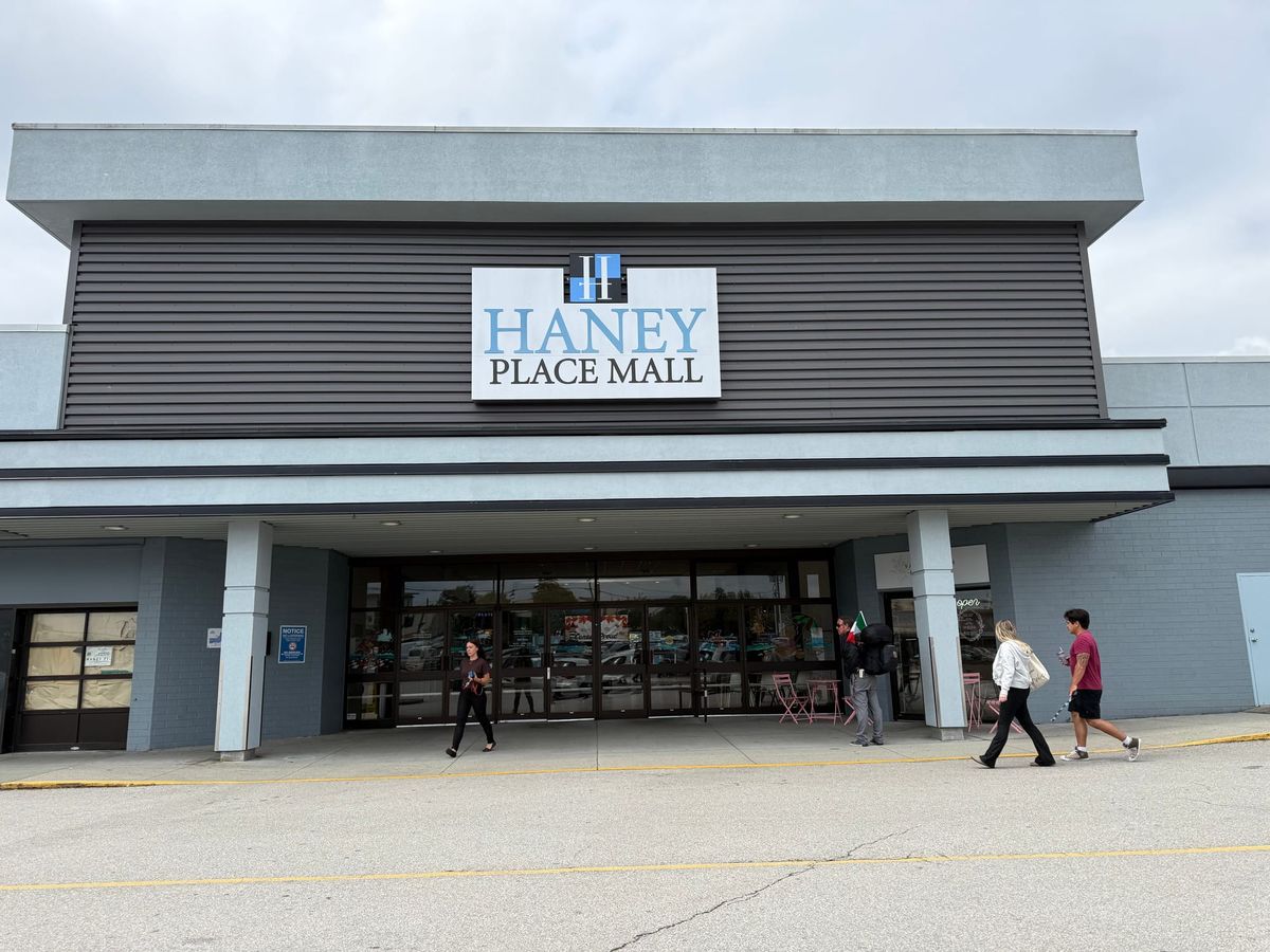 Mall Profile #14: Haney Place Mall, by Cindy Masuch & Justin McElroy
