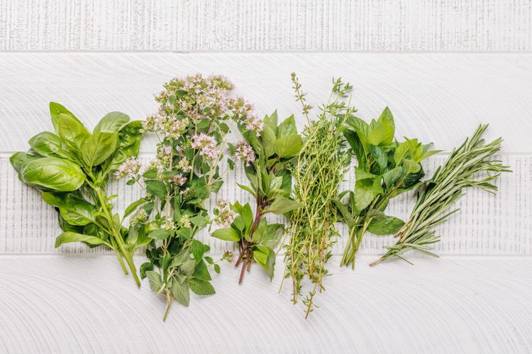 Glow from Within: Top 5 Herbs for a Deep Skin Detox
