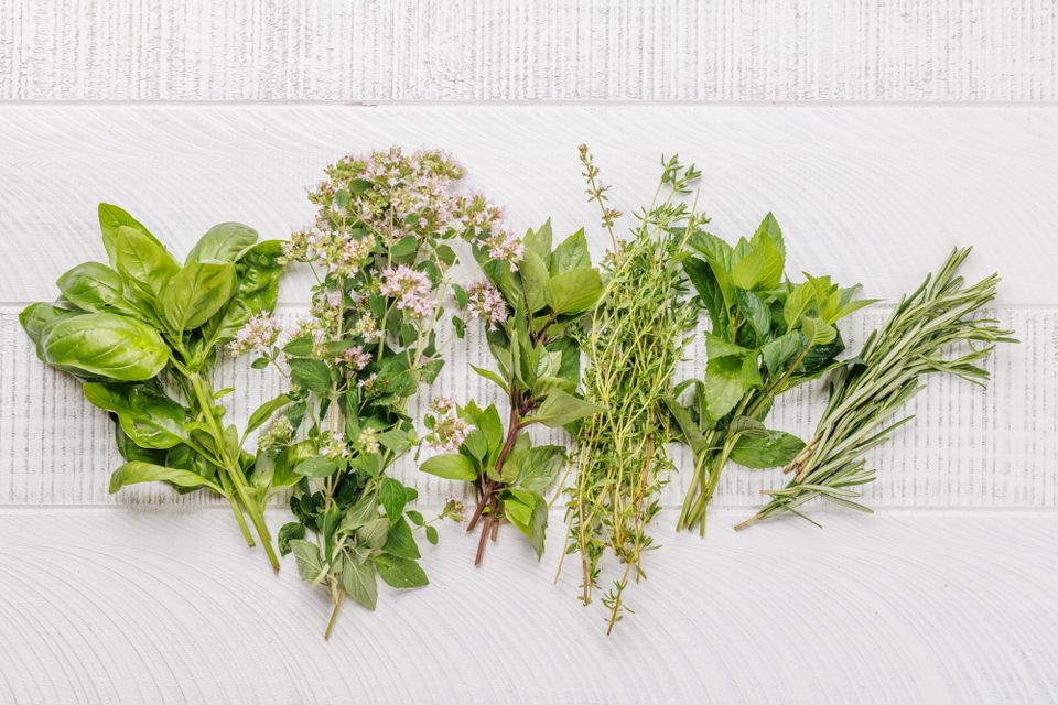 Glow from Within: Top 5 Herbs for a Deep Skin Detox