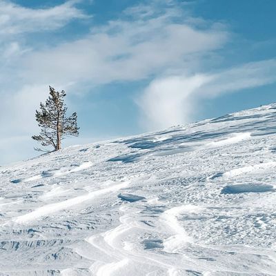 Arctic policy will define Europe's energy, security and innovation landscapes