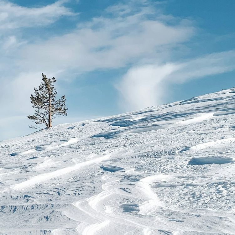 Arctic policy will define Europe's energy, security and innovation landscapes