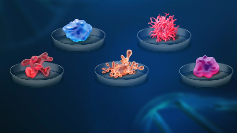 Što su metode bez korištenja životinja (NAMs – Non-Animal Methods)?