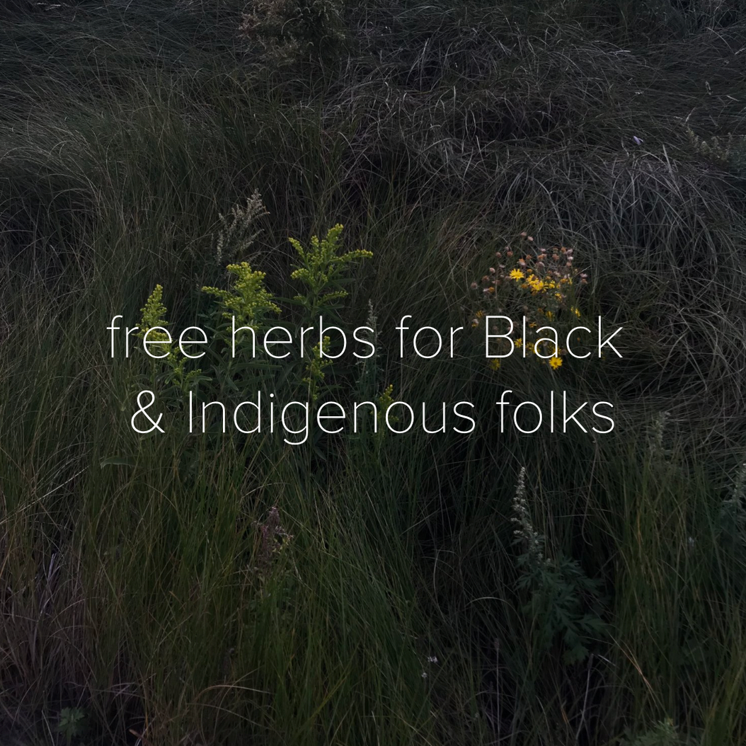 tall green wavy grass with yellow flowers in the center with white text reading: "Free herbs for Black & Indigenous folks."
