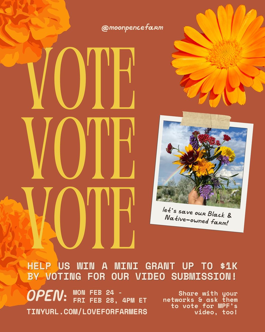 Vote for MPF to help us win a mini grant up to $1k!