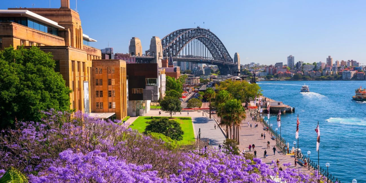 Volunteering Opportunities