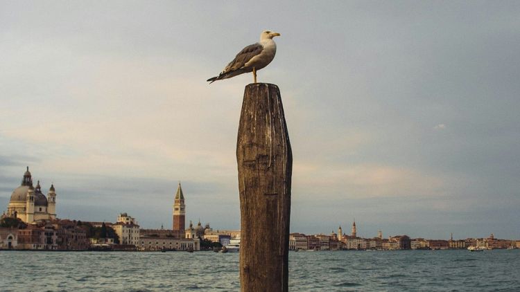 Venice like a local: A hosteller's tips and secrets