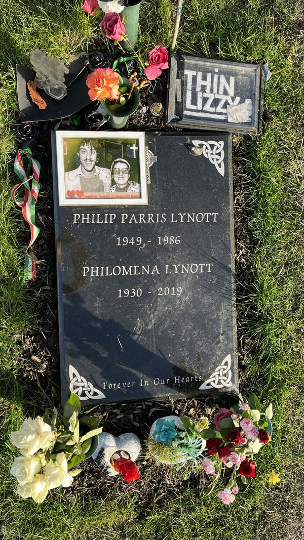 Howth Castle and Environs