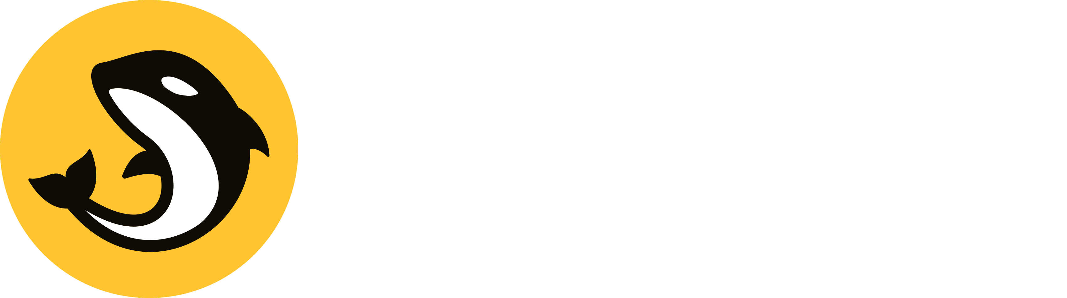 Orca
