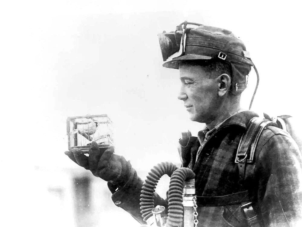 The Canary in the Coal Mine: Tocqueville and the Forgotten Freedom of Faith